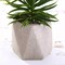 Green 3 Assorted 8" Artificial Faux Cute Crassula Succulent Plants Pots